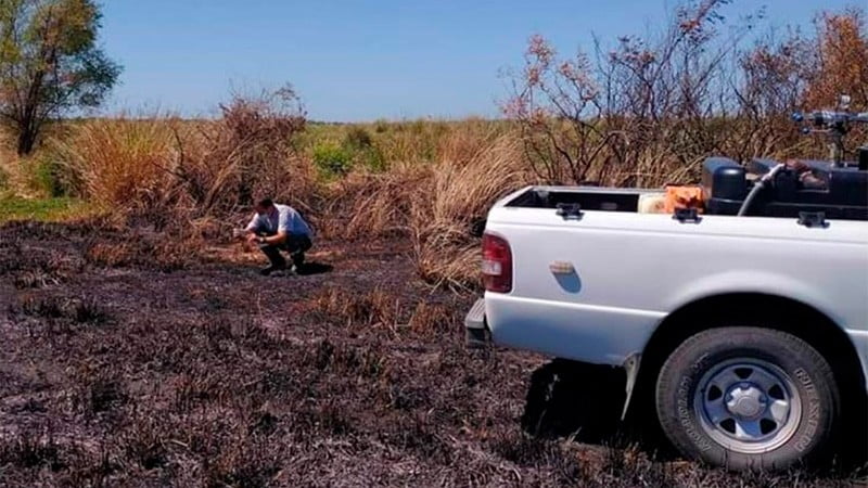 Buscan a responsables de los incendios en la zona norte de Concepción del Uruguay