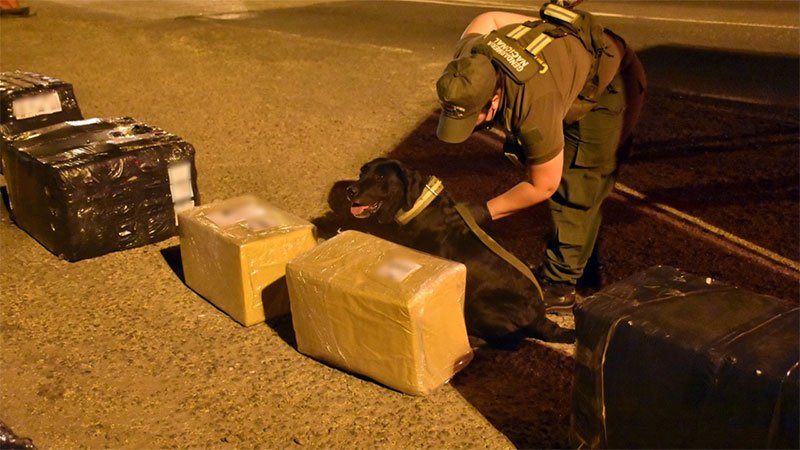 Dos detenidos tras descubrir encomienda con 19 kilos de droga en Entre Ríos