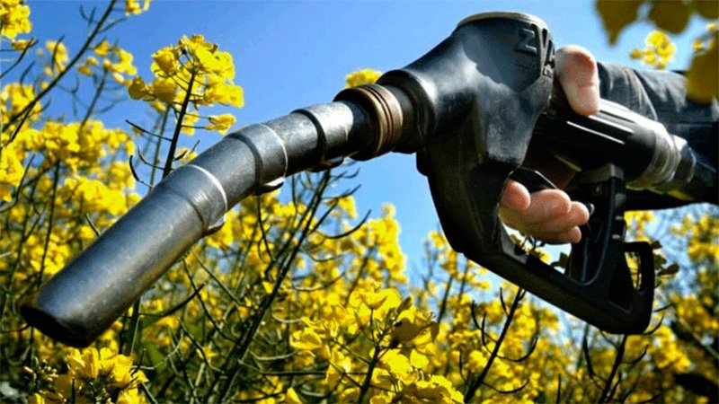 El aumento en etapas de los biocombustibles totalizará un 90 por ciento
