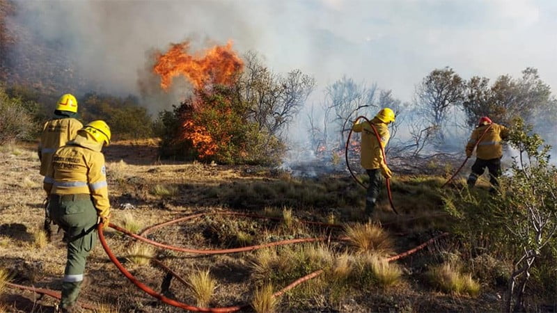 Incendios en Chubut: Unos 70 bomberos voluntarios lograron controlar el fuego