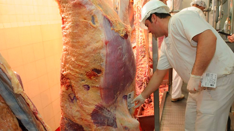 Aseguran que la carne bajó un 3% tras las restricciones a las exportaciones: