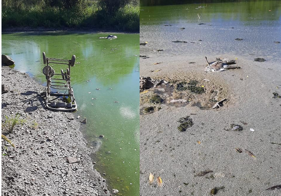Concepción del Uruguay: Denuncian grave contaminación del arroyo El Curro