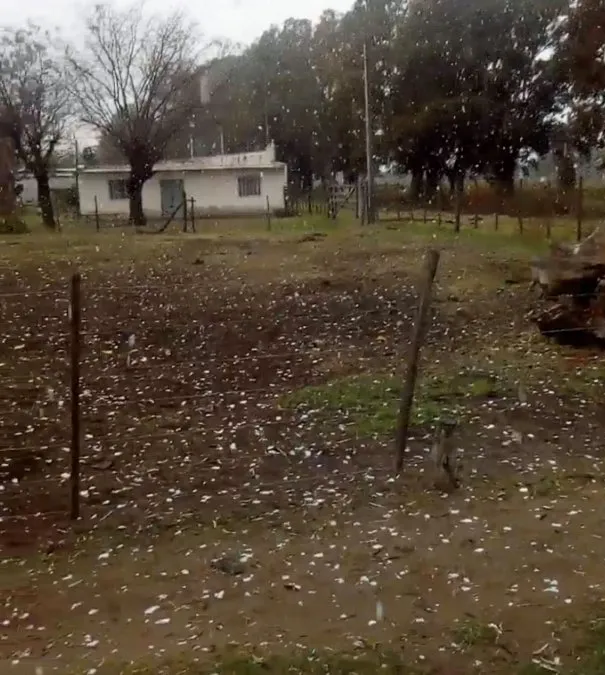 Nevó en Villa Cañas, Santa Fe ¿Nevará en Rosario?