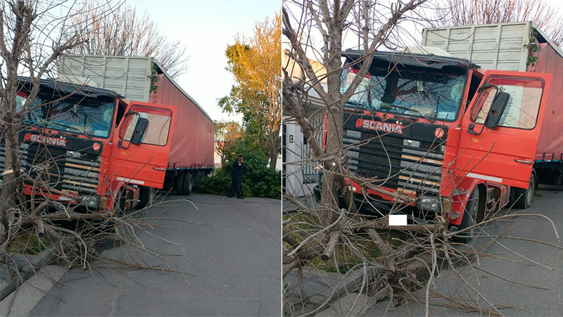 Camión se quedó sin frenos, subió a la vereda y derribó dos árboles en Paraná