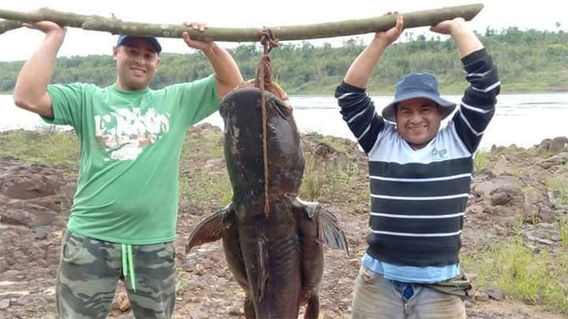 Padre e hijo pescaron un enorme manguruyú de 80 kilos en el río Paraná