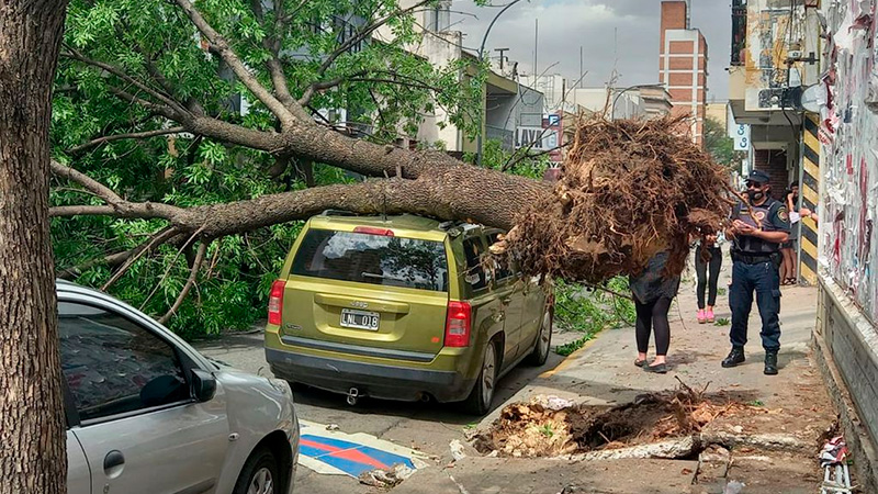 Las fuertes ráfagas de viento en el centro del país dejó daños y destrozos
