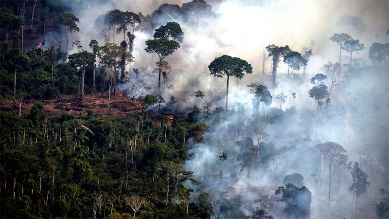 Brasil registró en octubre una deforestación récord de la selva amazónica
