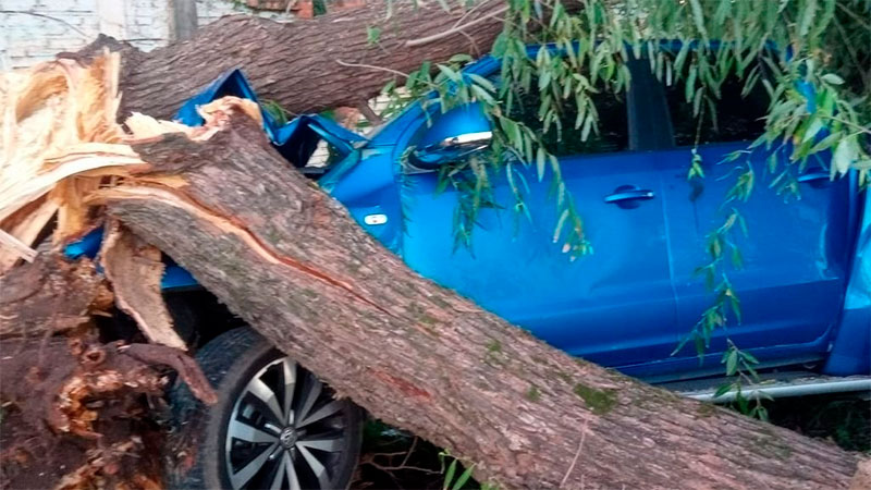 Dos jóvenes sufrieron heridas tras impactar su camioneta contra un árbol: