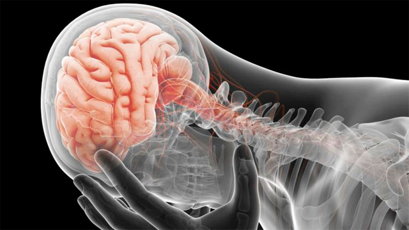 El Covid produce reducción de materia gris en cerebro: las áreas más afectadas