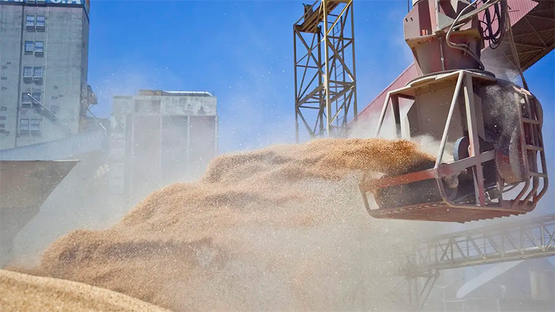 Reabrieron el registro de exportaciones de harina y aceite de soja