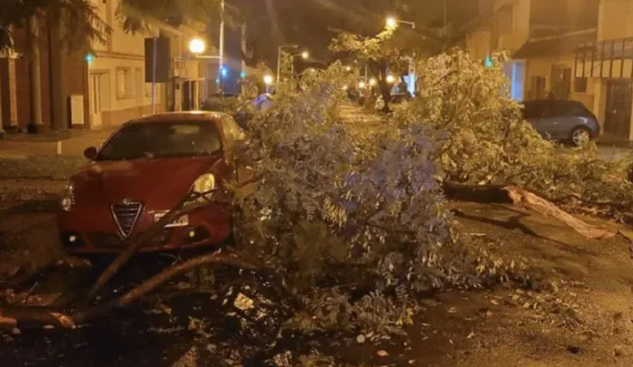 Tormenta en Paraná: Hubo voladuras de techos y caída de árboles y postes