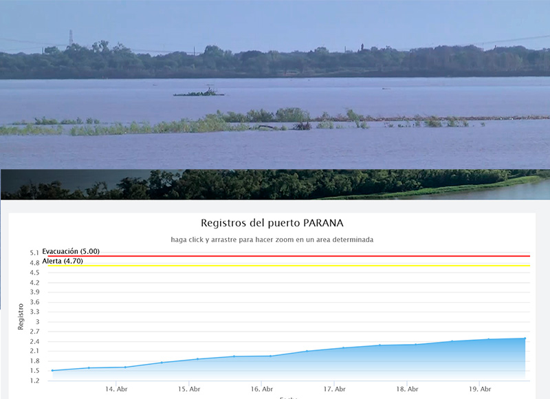 Los camalotes en el río Paraná evidencian el notorio repunte