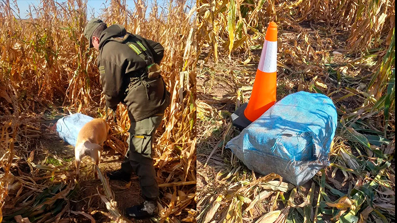 Hallaron bolsas con más de 100 kilos de cocaína en un campo