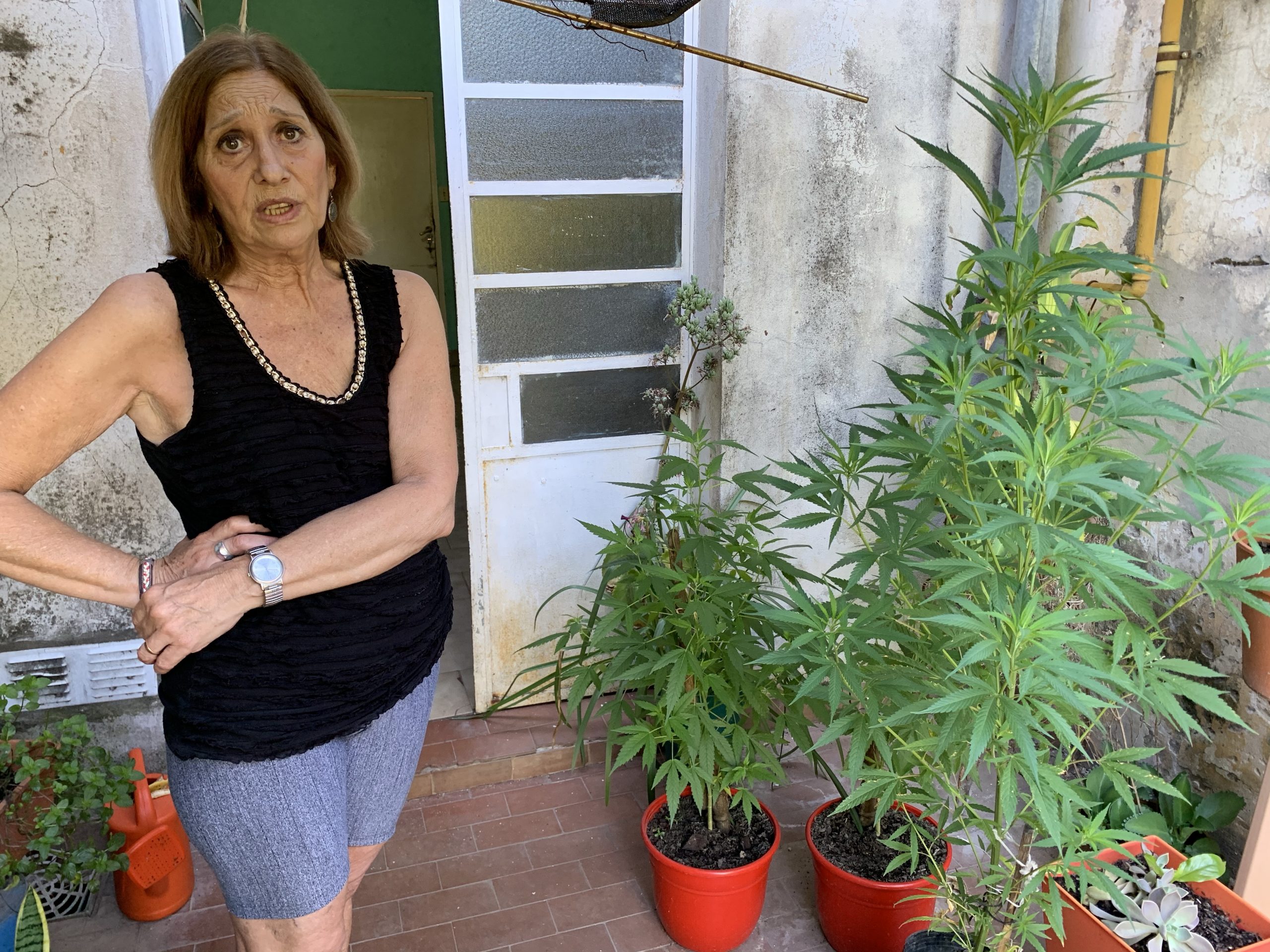 Pesar en Rosario del Tala por la muerte de Silvia Encinas, una referente de la lucha por el cannabis medicinal