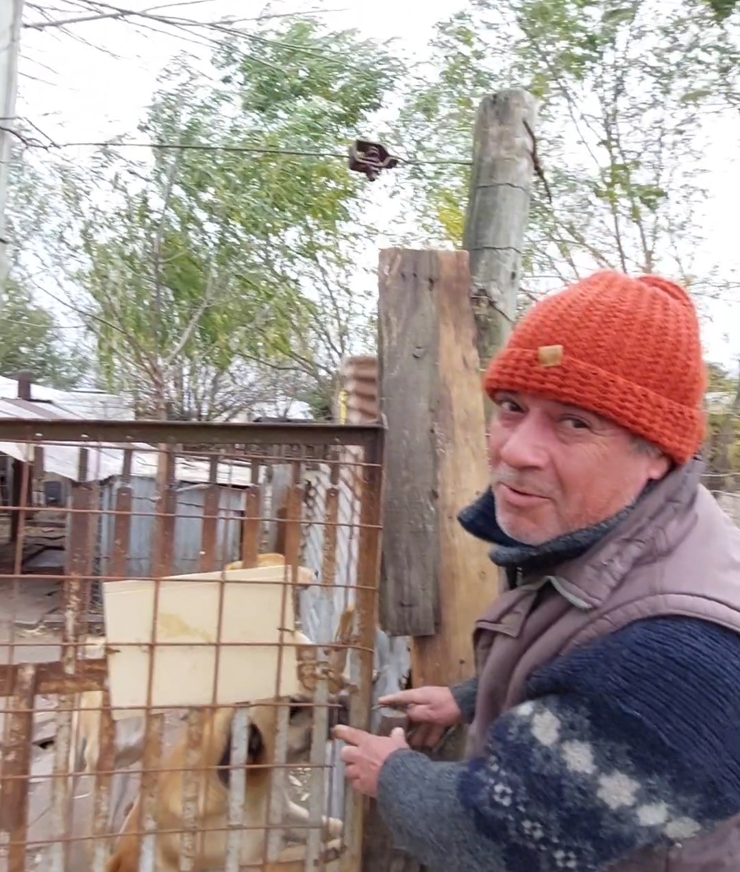 En Basavilbaso 138 perros son refugiado en “Mi Amigo Fiel”: EntreRíosYA visitó el lugar