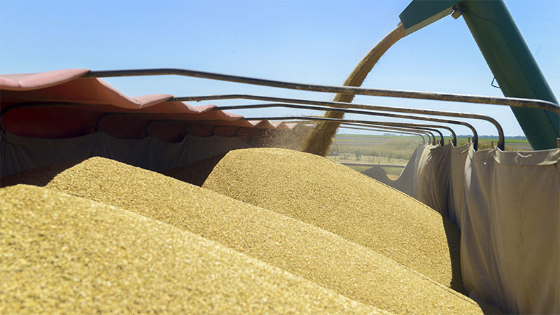 La soja alcanzó un nuevo récord en el mercado de Chicago y beneficiará al país