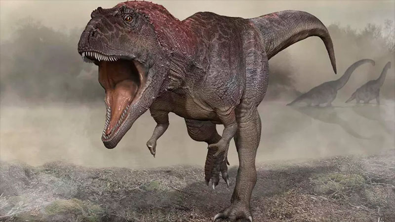Científicos argentinos descubrieron una nueva especie de dinosaurio carnívoro
