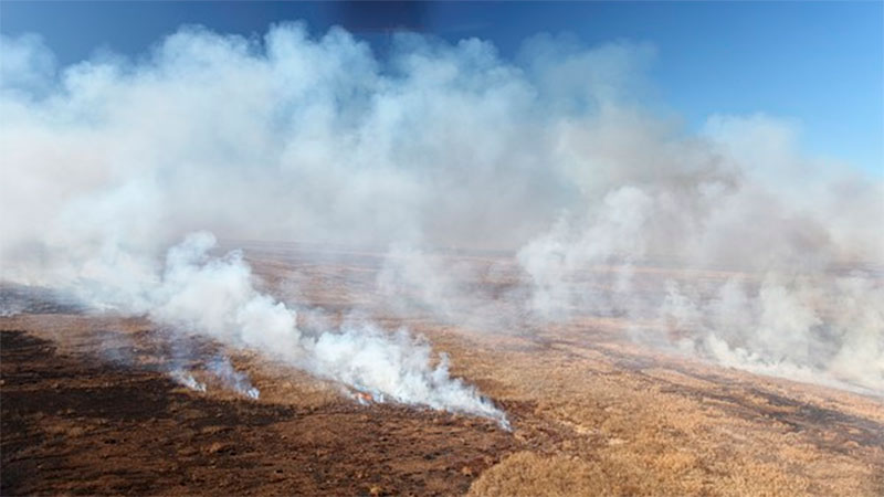 Incendios en el Delta: Ambiente presentó una cautelar para aplicar sanciones