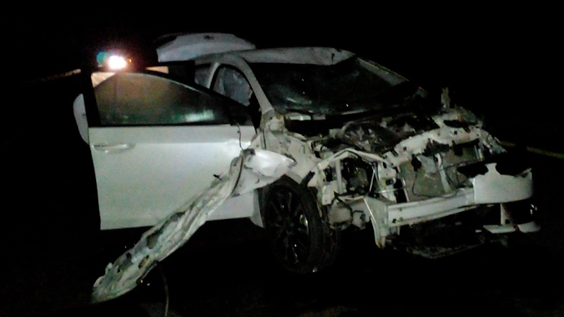 En Colón conductor destrozó su auto al chocar una vaca que se atravesó en la ruta