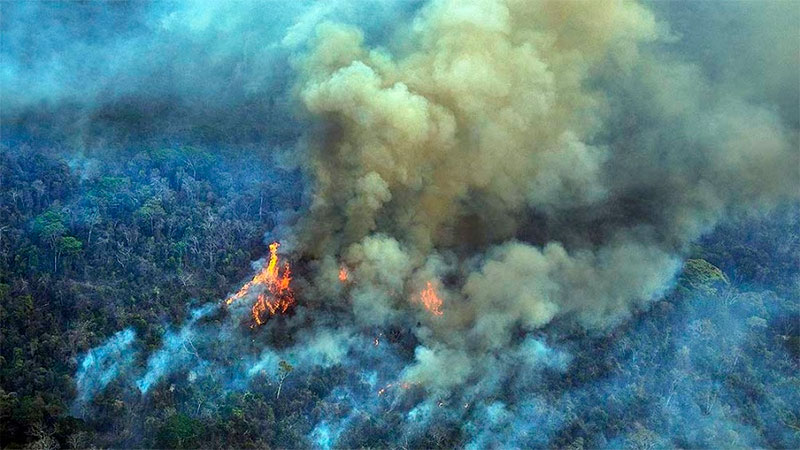 La Amazonia brasileña registró 33.316 focos de incendio en agosto