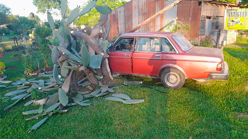 En Colón conductor destrozó su auto al chocarlo contra un poste y un cactus