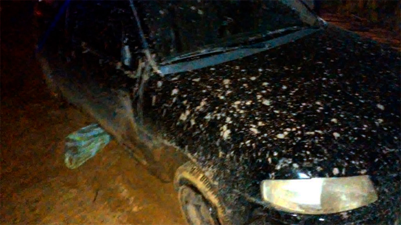 Un auto volcó en camino entrerriano durante persecución policial: era robado y delincuentes escaparon
