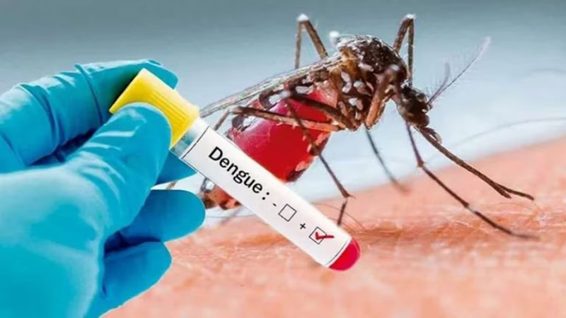 Estudian si el dengue ocasionó la primera muerte de paciente en Paraná