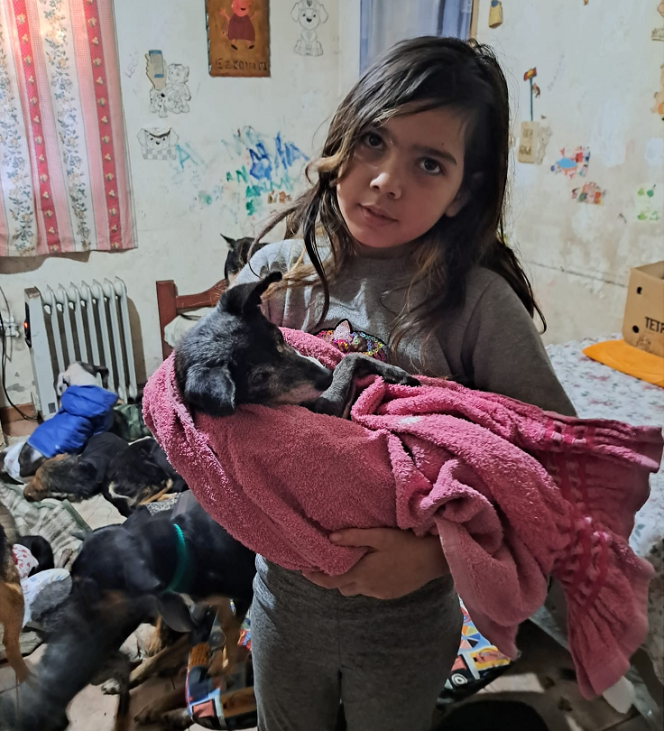 EntreRíosYA visitó “Alma y su manada”, un hogar de esperanza para mascotas necesitadas