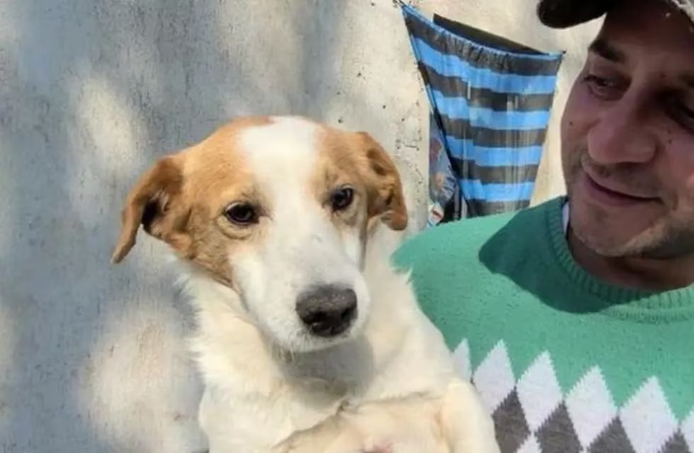 Tristeza en las redes sociales por la muerte del famoso “perrito malvado” de TikTok