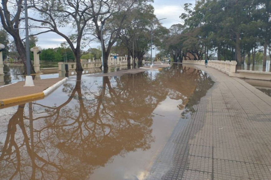 El Río Uruguay no para de crecer: en Concordia retiran medidores de luz