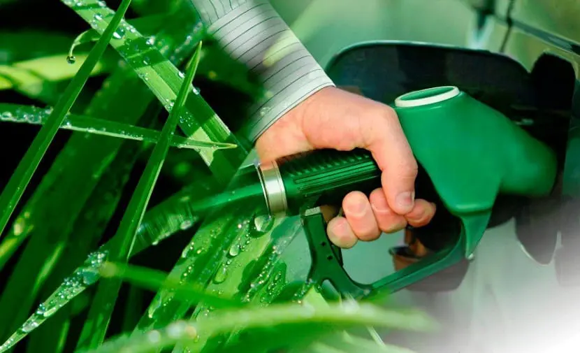 “El bioetanol es el remedio contra la escasez de naftas”