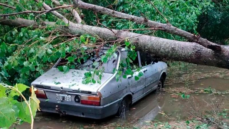 Temporal de lluvia y viento en Entre Ríos causó destrozos en distintas localidades entrerrianas