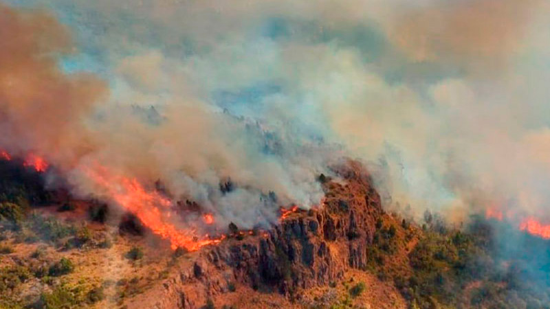 Incendio forestal en Parque Nacional Los Alerces ya consumió casi 600 hectáreas