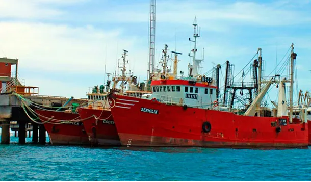 Ley Ómnibus: gobernadores patagónicos rechazan cambios en la actividad pesquera