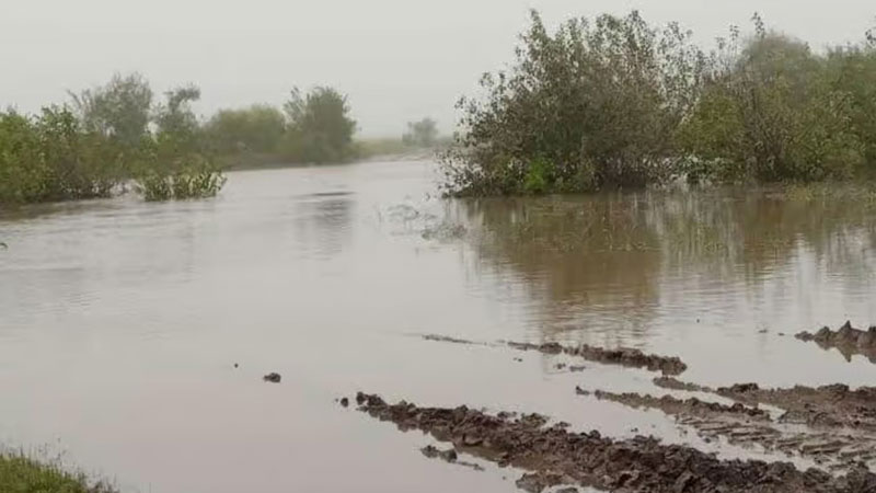 El desborde de los arroyos cortaron rutas en Nogoyá