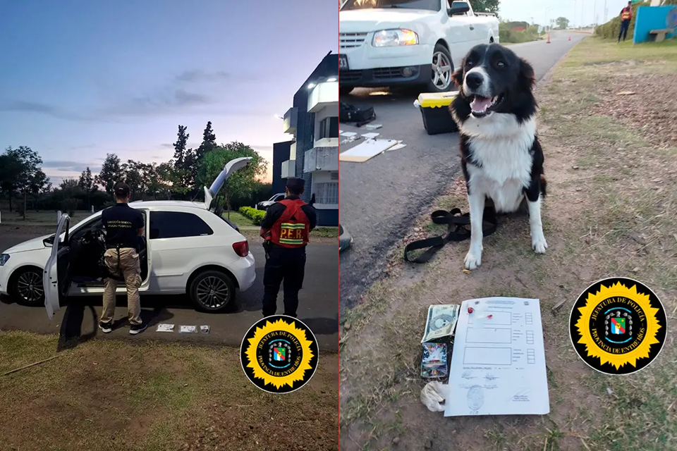 Gracias a una perra antidrogas secuestraron droga en Chajarí