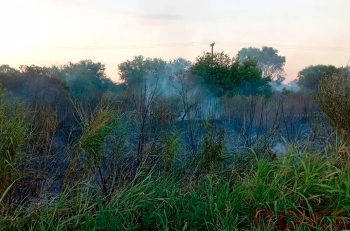 Incendio en La Picada consumio 12 hectáreas: salvaron los durmientes del ferrocarril