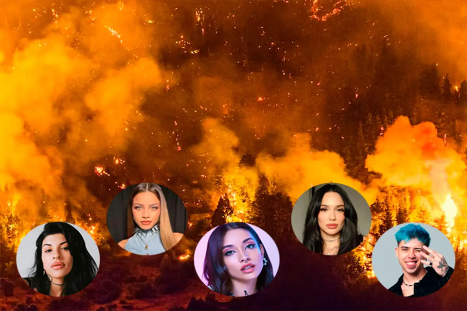 Entrerriana recaudó millonaria suma para combatir incendios en la Patagonia: fue con la ayuda de artistas