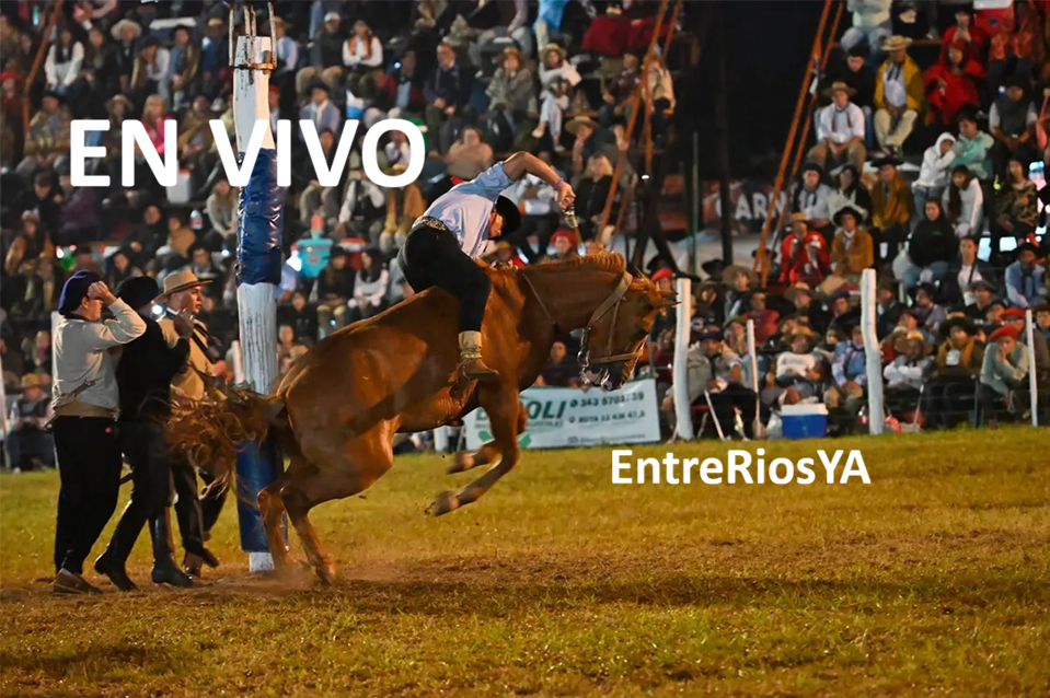 EN VIVO, Festival Nacional de Jineteada y Folclore desde Diamante