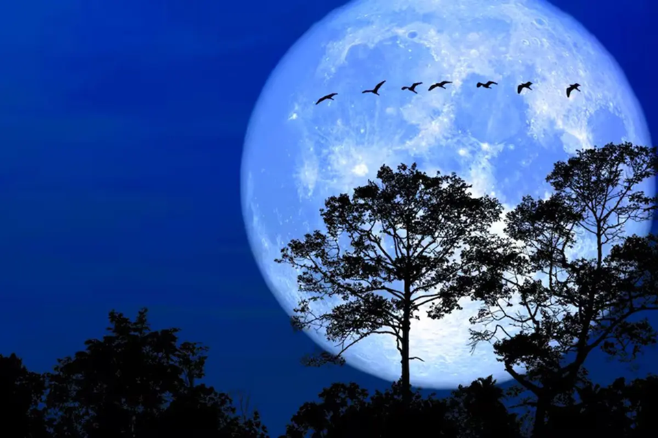 Luna de Nieve en febrero: cuándo y desde dónde se podrá ver