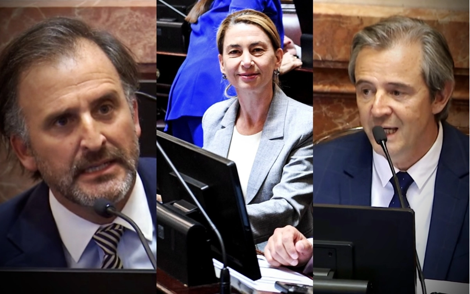 Reforma laboral: Los senadores libertarios Benegas Lynch y Almeida votaron a favor, Bahl en contra
