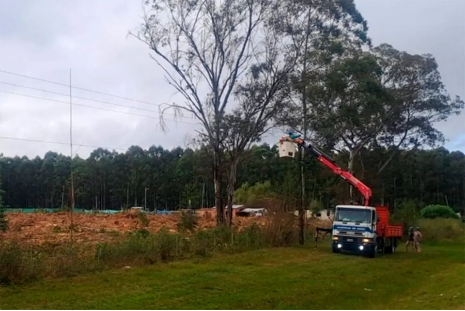 Talaron un árbol y dejaron sin luz a dos localidades entrerrianas