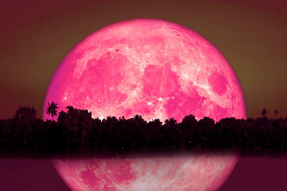 Luna de Fresa: cuándo y cómo se podrá ver en Argentina