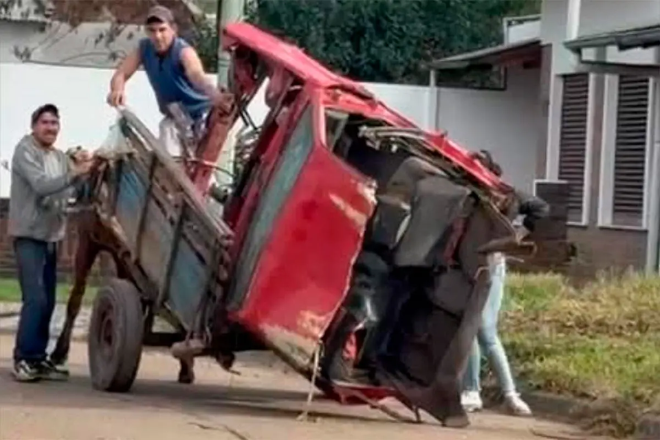 Maltrato animal en Gualeguaychú: un caballo que fue utilizado para arrastrar partes de un auto