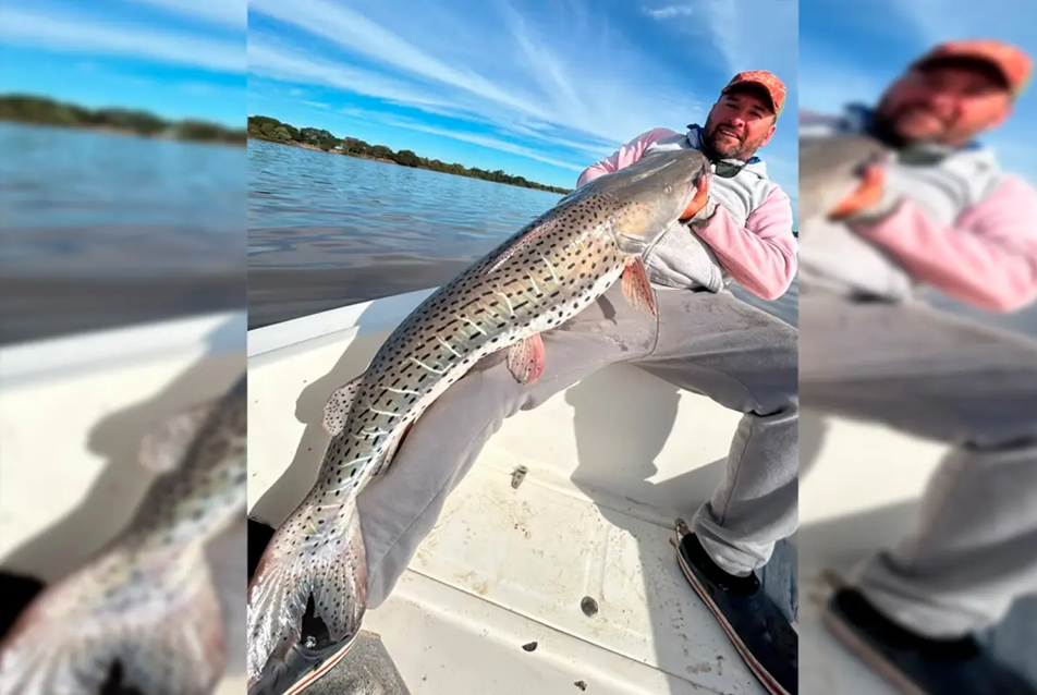 Pescaron un enorme surubí en el río Paraná