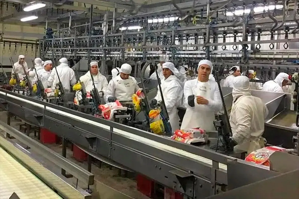 Granja Tres Arroyos: productores denuncian deudas por crianzas impagas